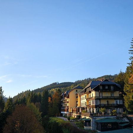Alpenhotel Gosing Gosing an der Mariazeller Bahn Exterior photo