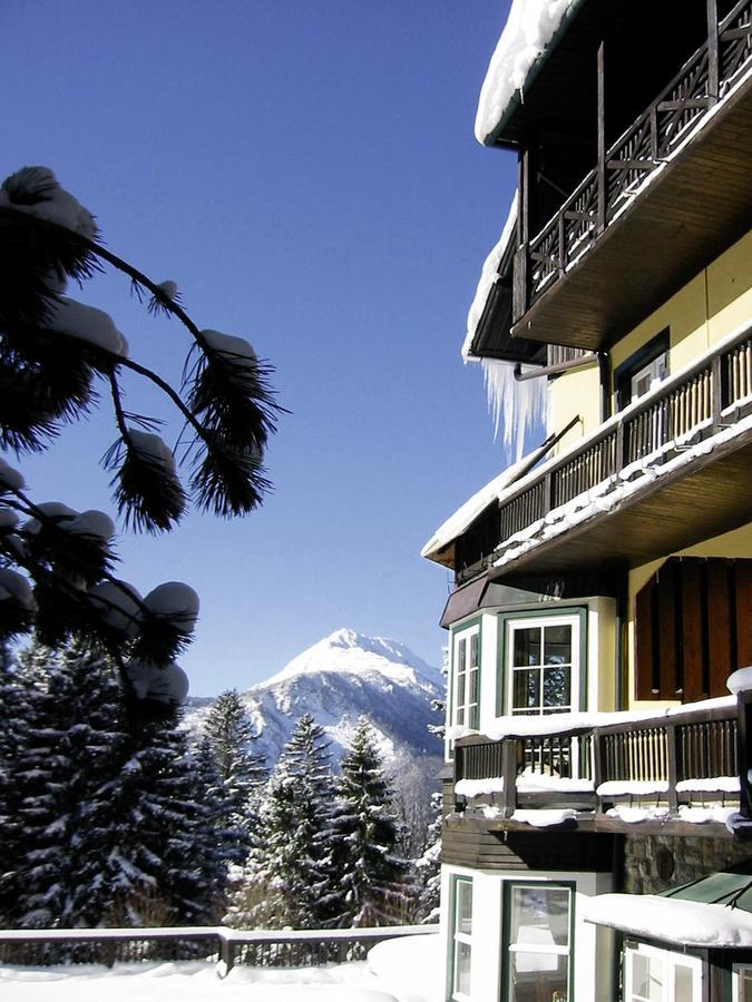 Alpenhotel Goesing Puchenstuben Exterior photo